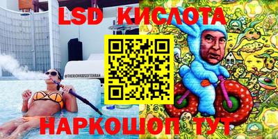 mdpv Бийск