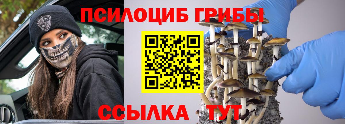 Бор  Псилоцибиновые грибы мухоморы  Вход с VPN 