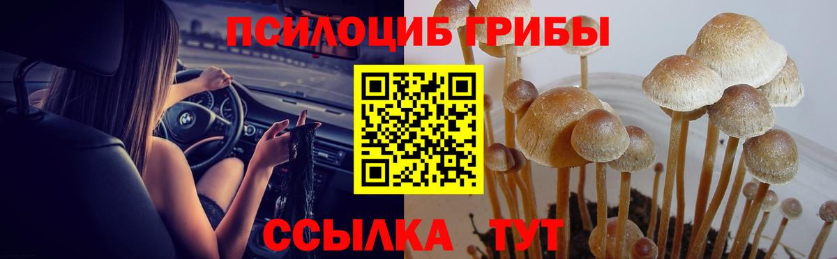 Псилоцибиновые грибы Magic Shrooms Бор