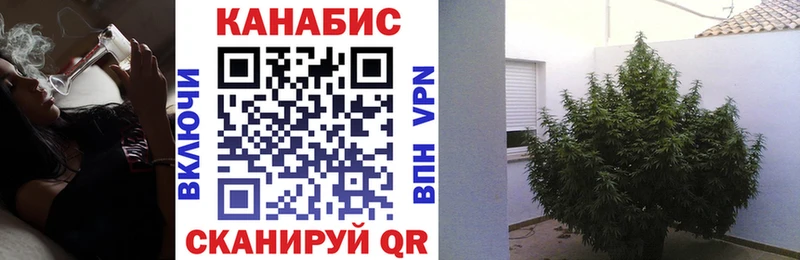 Канабис ГИДРОПОН  Бор 